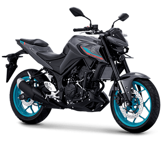 MT25
